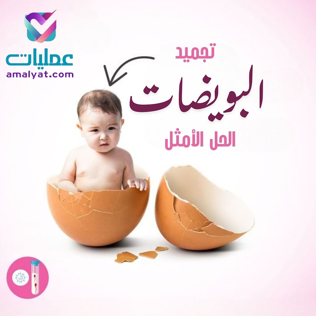 الحقن المجهري في مصر 2025 د محمد مختار الشاذلي رائد علاج العقم والمناظير النسائية